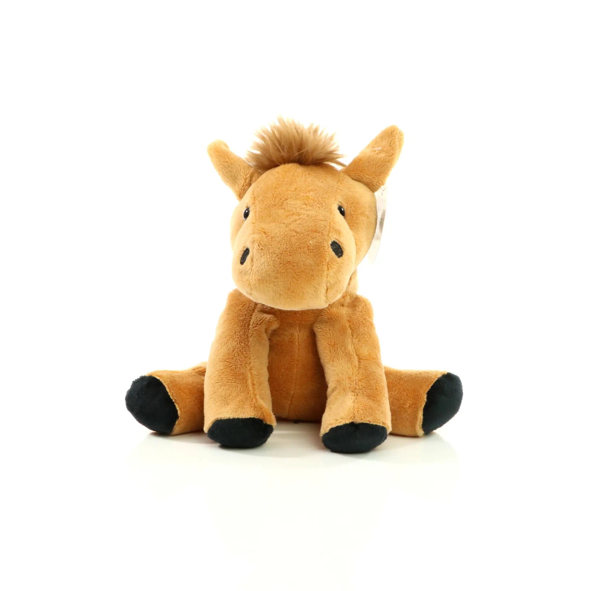 27e96098af305761d54061f8d3a4f034