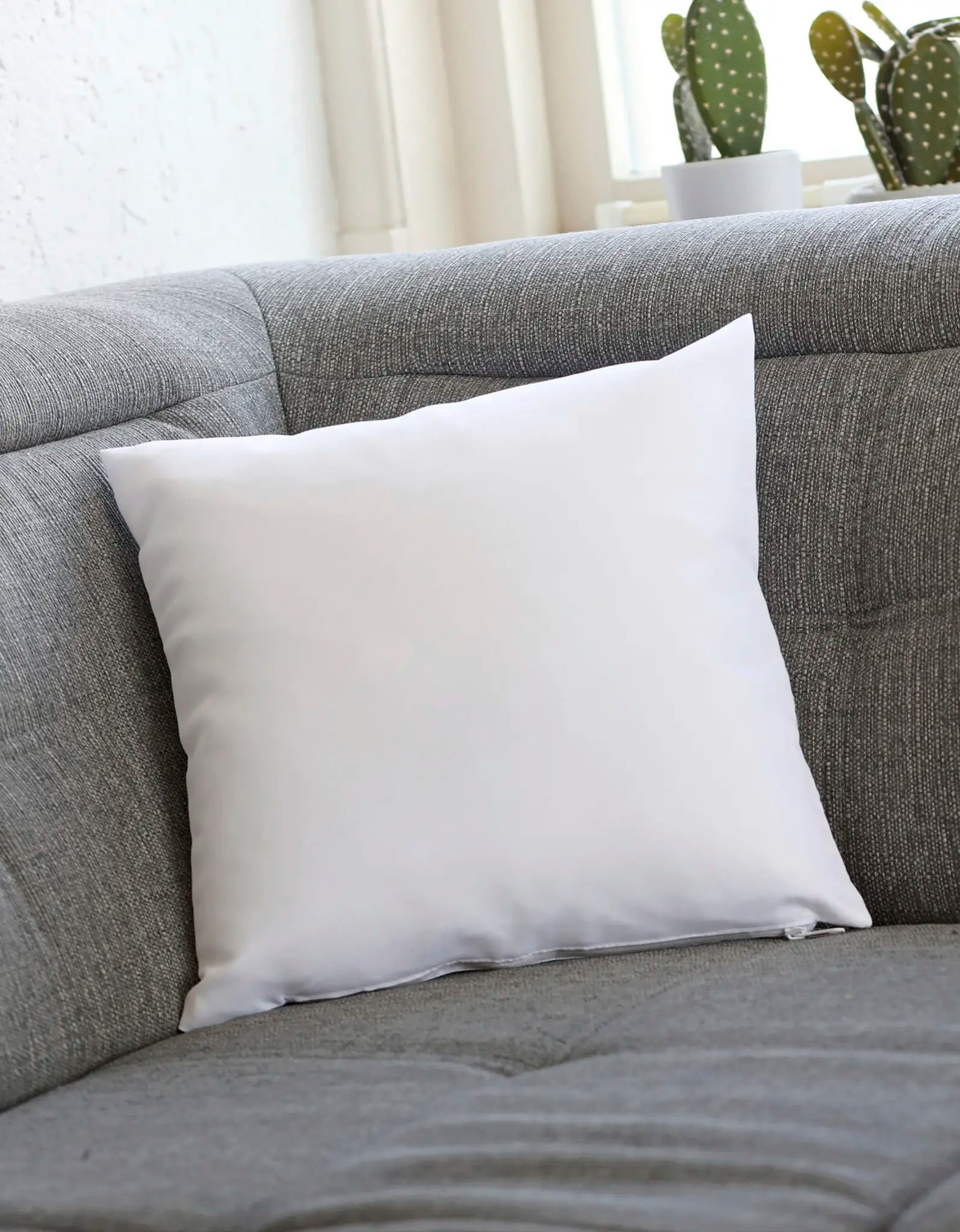 39c8c928d47393014f70ec3537060124