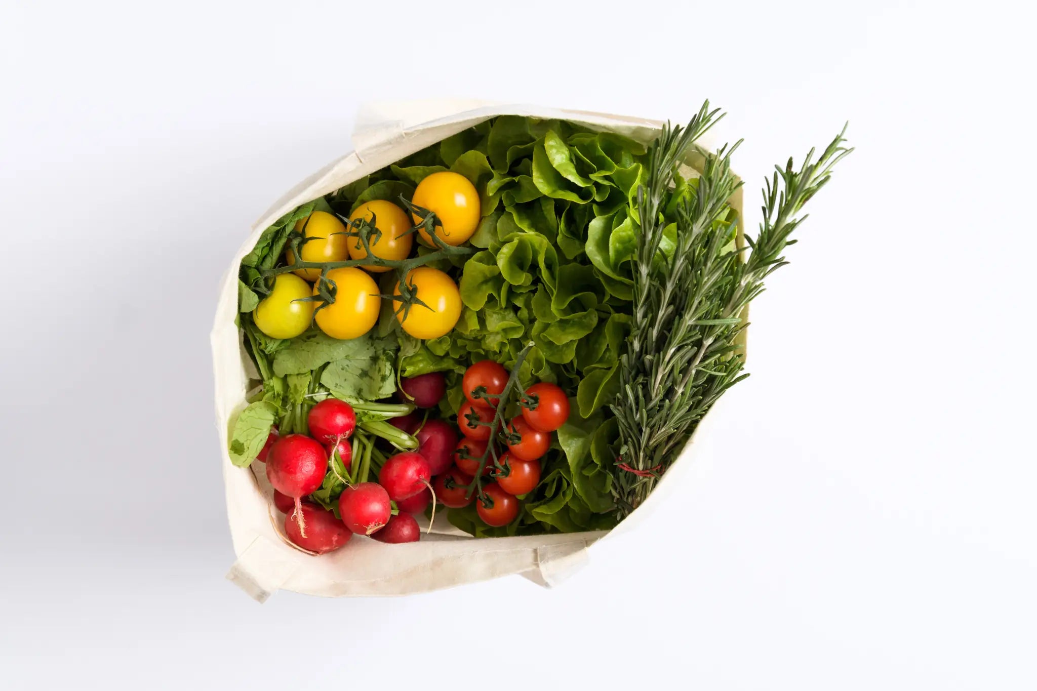 ee55f29e80043bf0d4c9bd1f102caaec