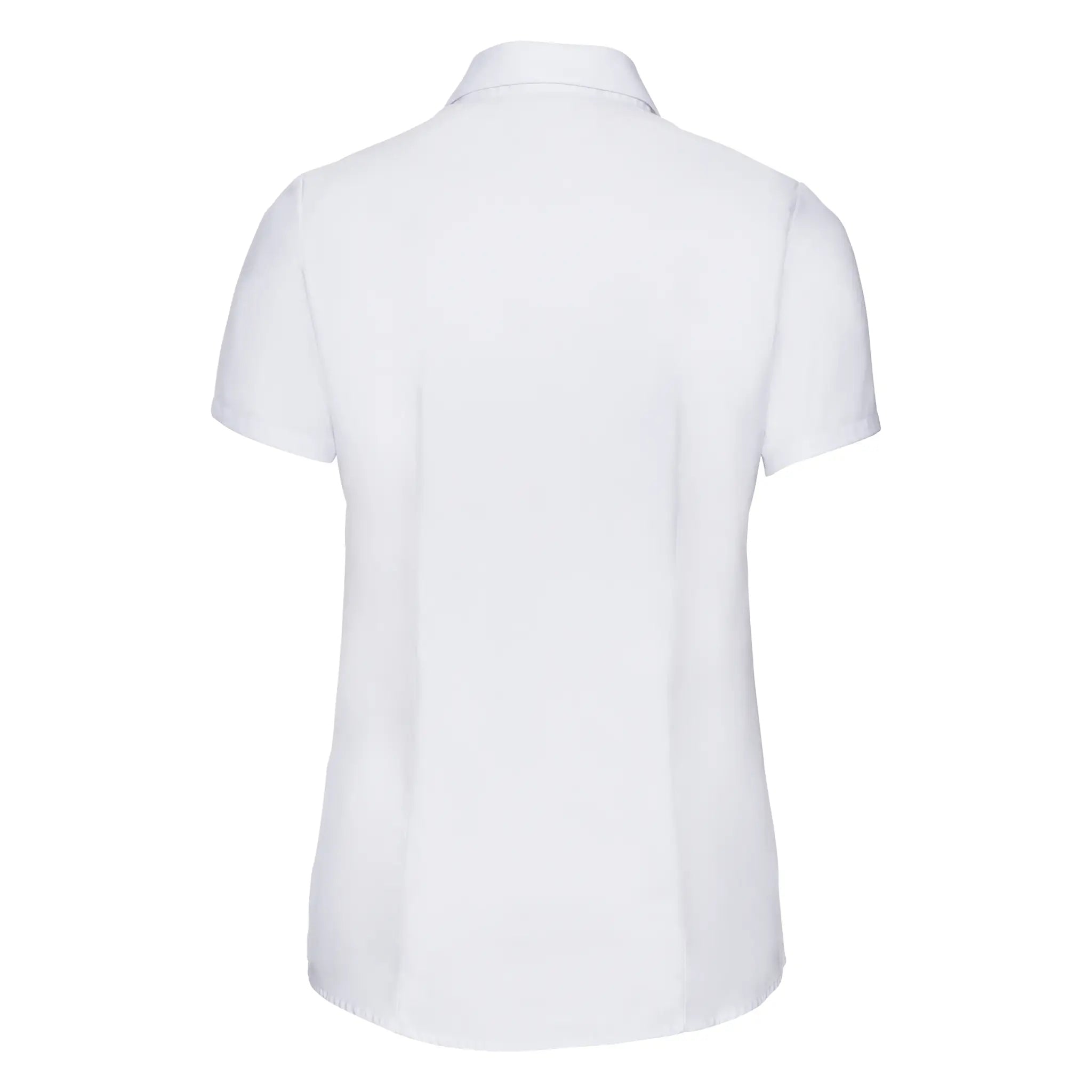 81aedc0a0d2507d68005dc8838d857dc