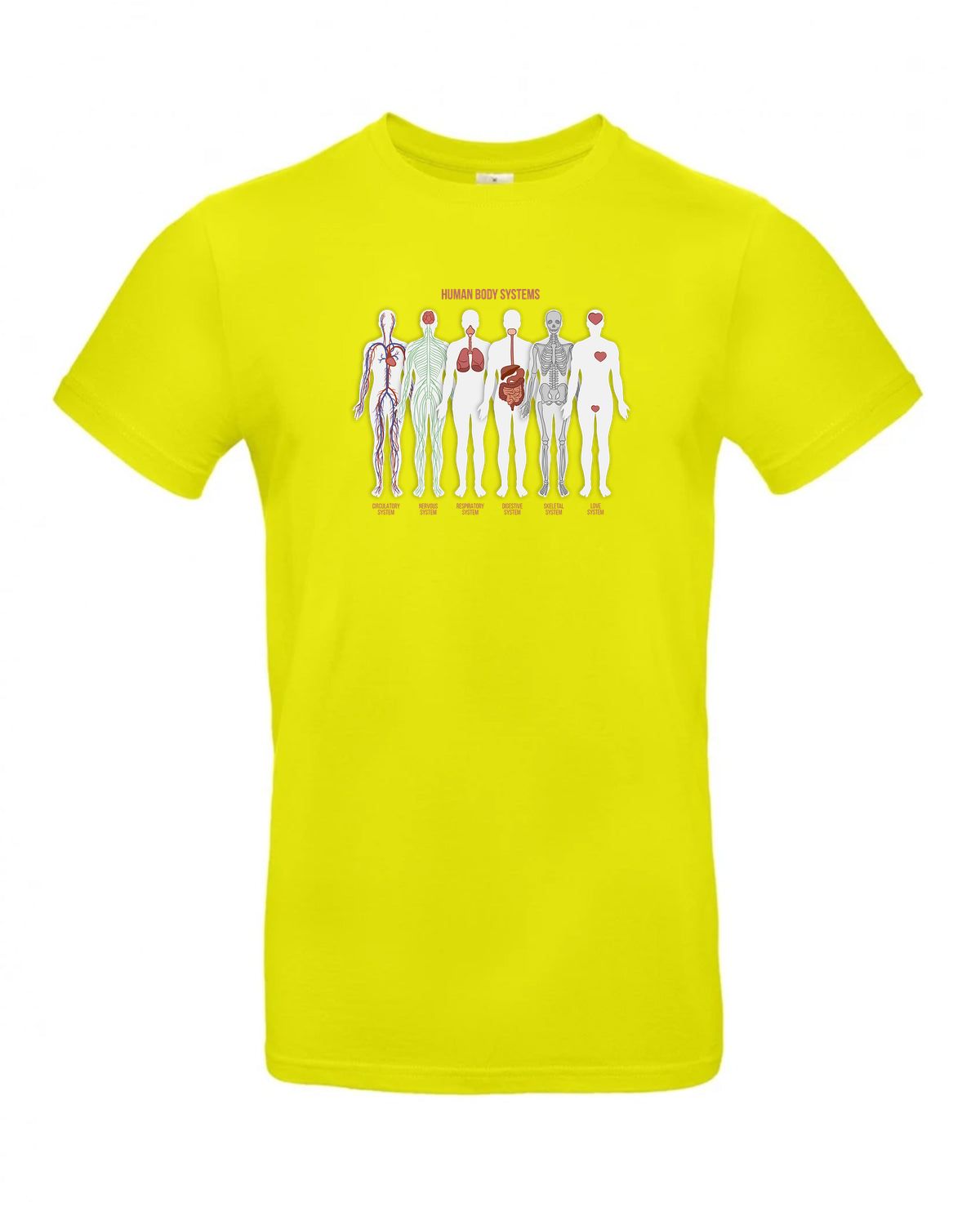 bundle-src:https://cdn.shopify.com/s/files/1/0946/1078/4639/files/TU03T_P_BC_986_01.jpg?v=1772523893