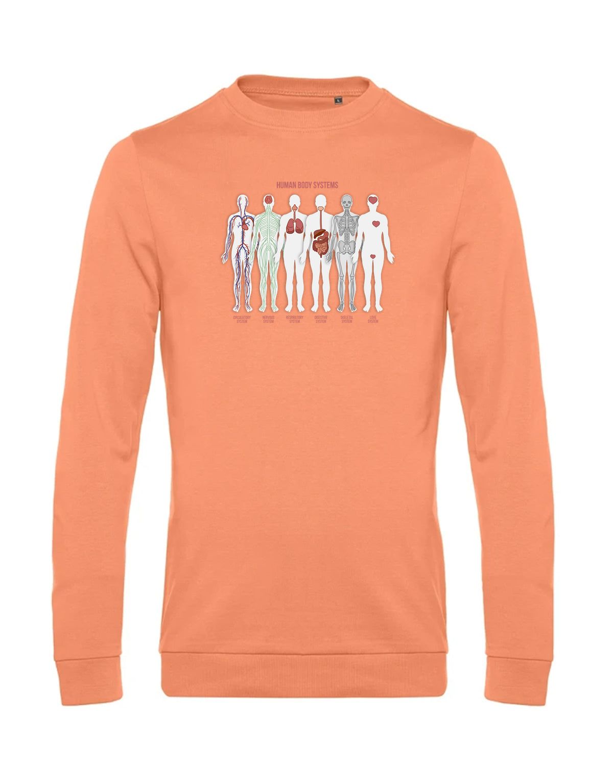 bundle-src:https://cdn.shopify.com/s/files/1/0946/1078/4639/files/WU01W_P_BC_255_01.jpg?v=1772633790