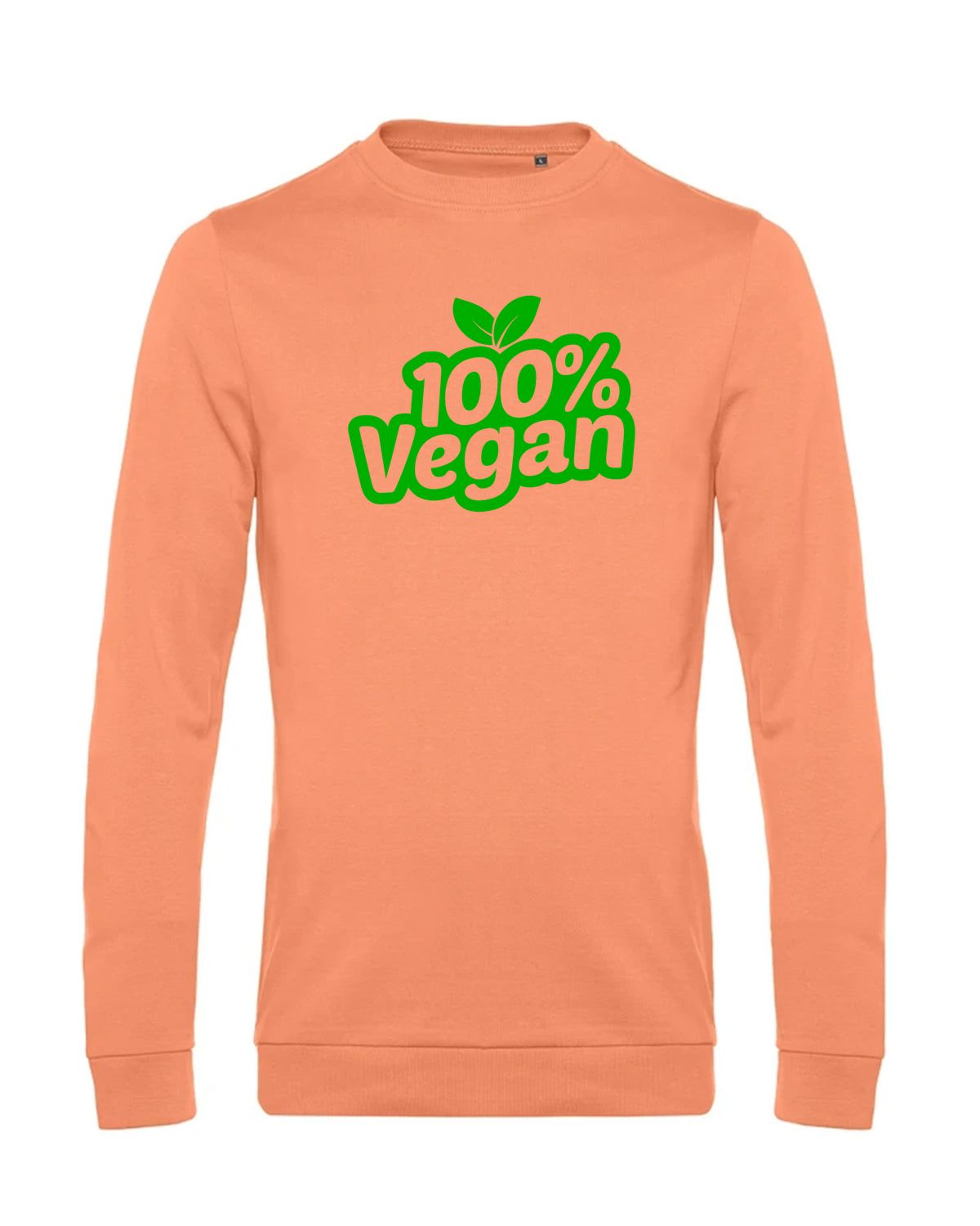 bundle-src:https://cdn.shopify.com/s/files/1/0946/1078/4639/files/WU01W_P_BC_255_01.jpg?v=1772633790