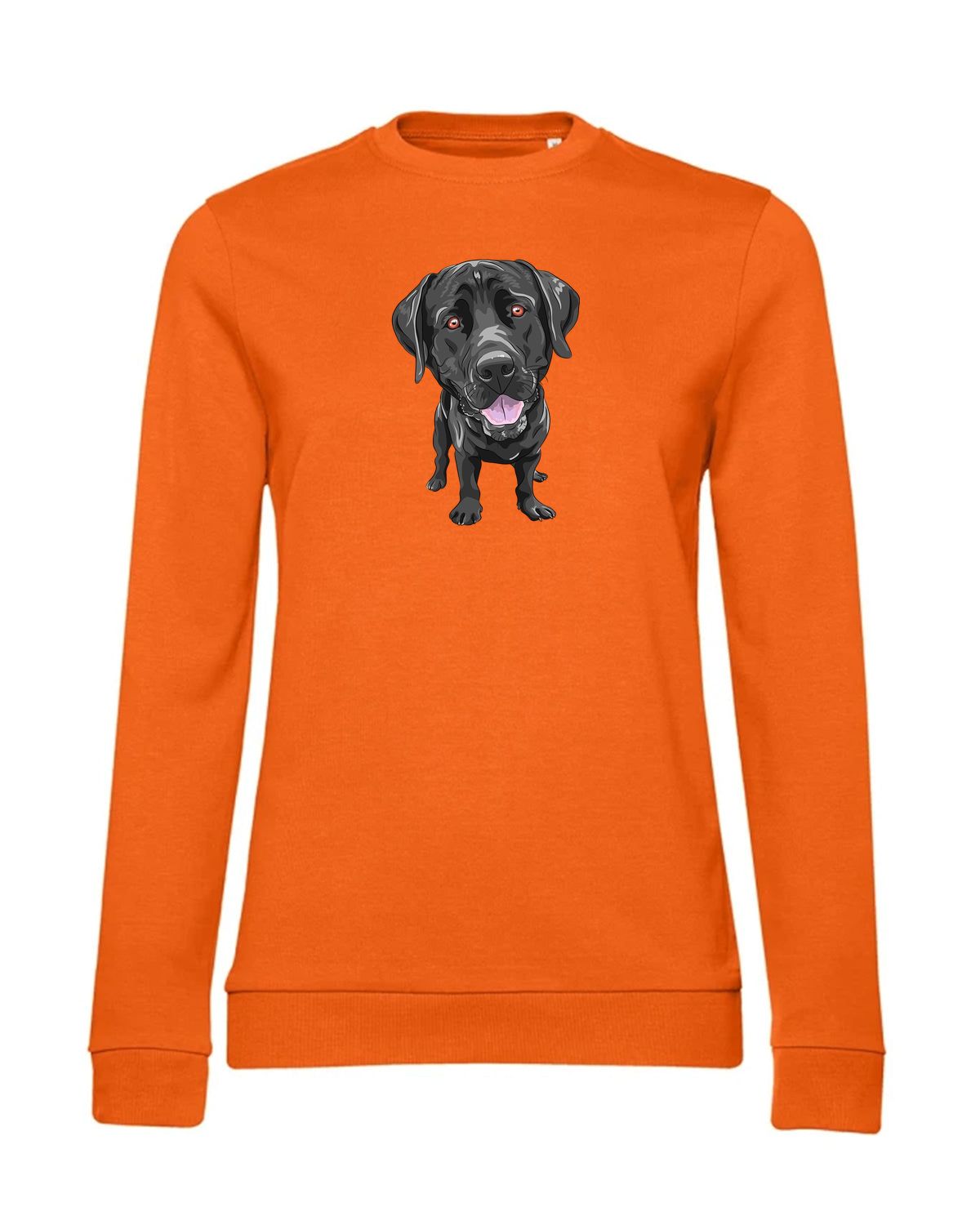 bundle-src:https://cdn.shopify.com/s/files/1/0946/1078/4639/files/WW02W_P_BC_233_01.jpg?v=1773067021