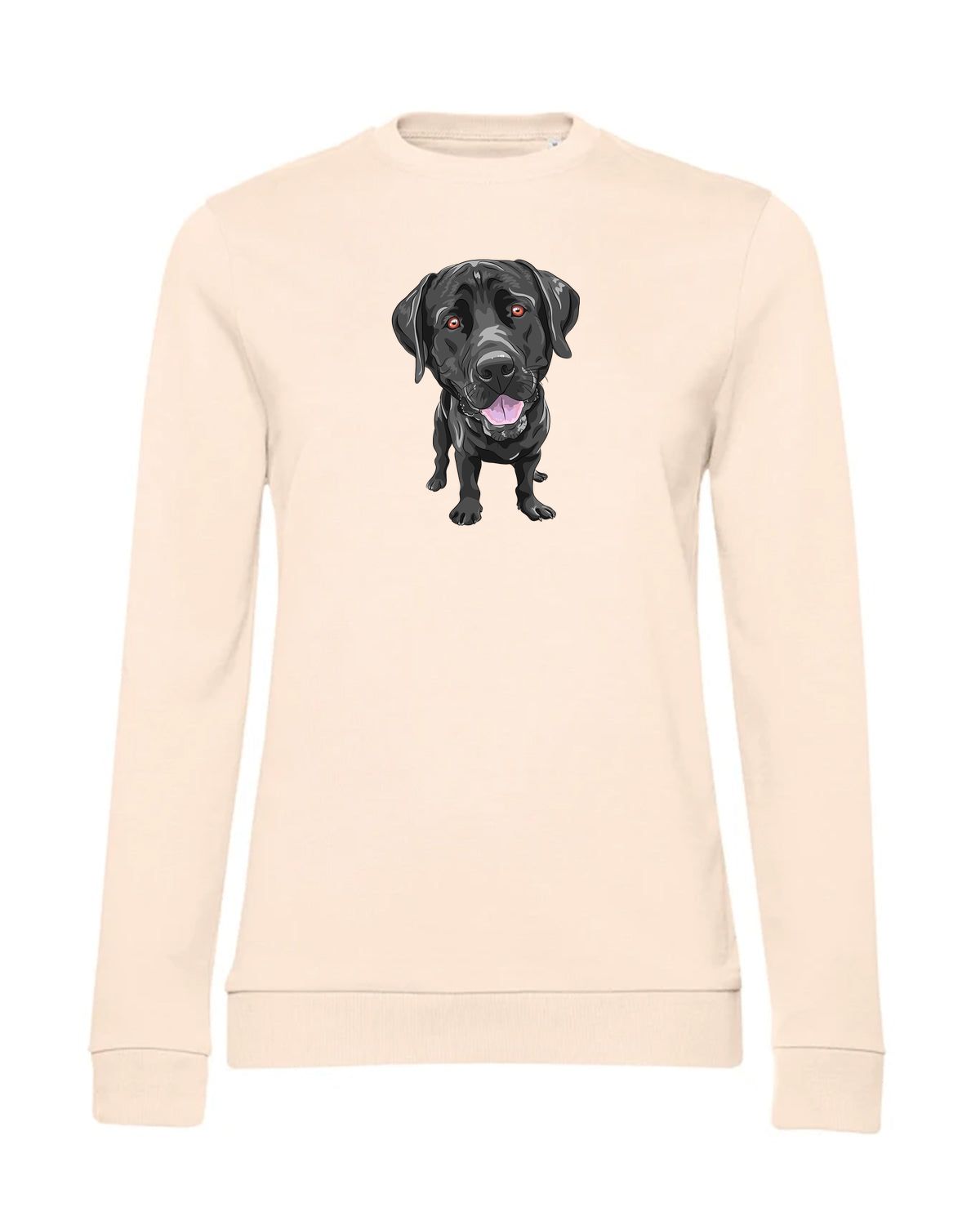 bundle-src:https://cdn.shopify.com/s/files/1/0946/1078/4639/files/WW02W_P_BC_305_01.jpg?v=1773067021