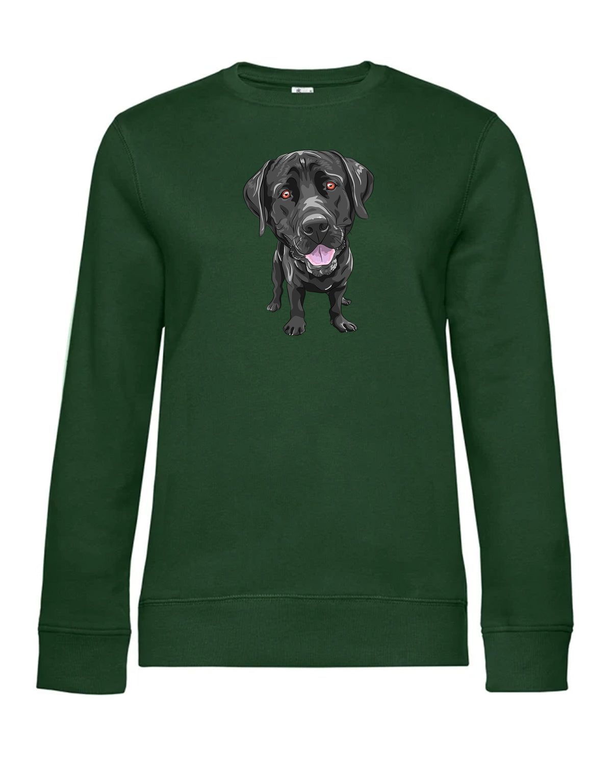 bundle-src:https://cdn.shopify.com/s/files/1/0946/1078/4639/files/WW01Q_P_BC_540_01.jpg?v=1773217929