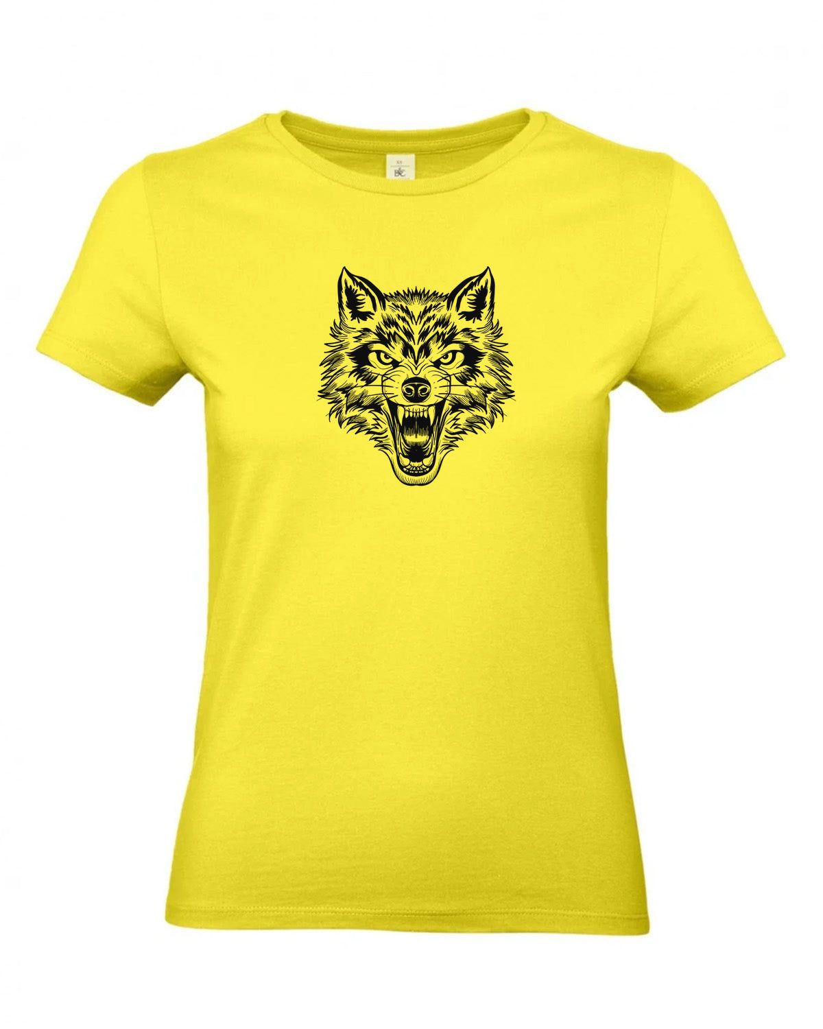 bundle-src:https://cdn.shopify.com/s/files/1/0946/1078/4639/files/TW04T_P_BC_201_01.jpg?v=1772459365