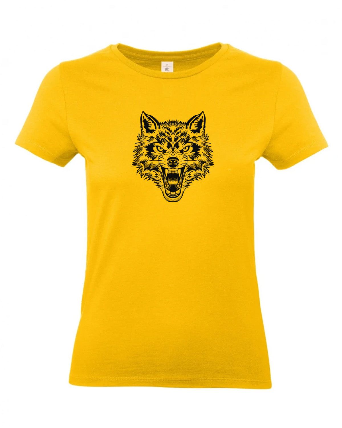 bundle-src:https://cdn.shopify.com/s/files/1/0946/1078/4639/files/TW04T_P_BC_210_01.jpg?v=1772459365