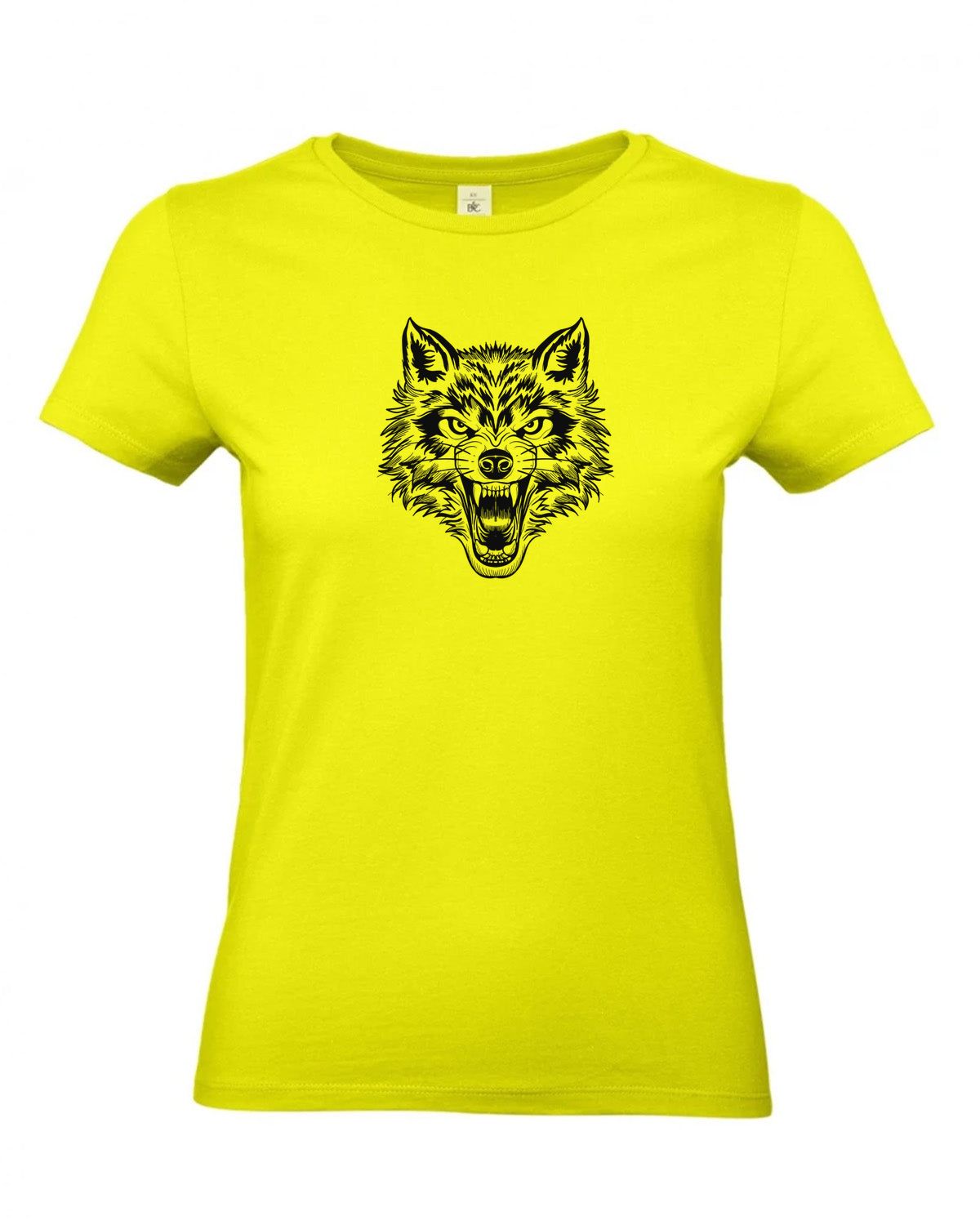 bundle-src:https://cdn.shopify.com/s/files/1/0946/1078/4639/files/TW04T_P_BC_986_01.jpg?v=1772459365