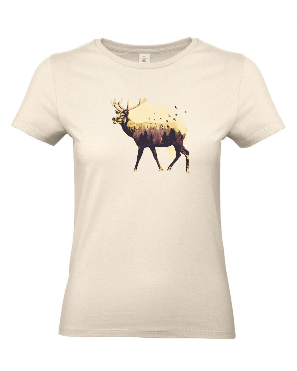 bundle-src:https://cdn.shopify.com/s/files/1/0946/1078/4639/files/TW04T_P_BC_100_01.jpg?v=1772459365