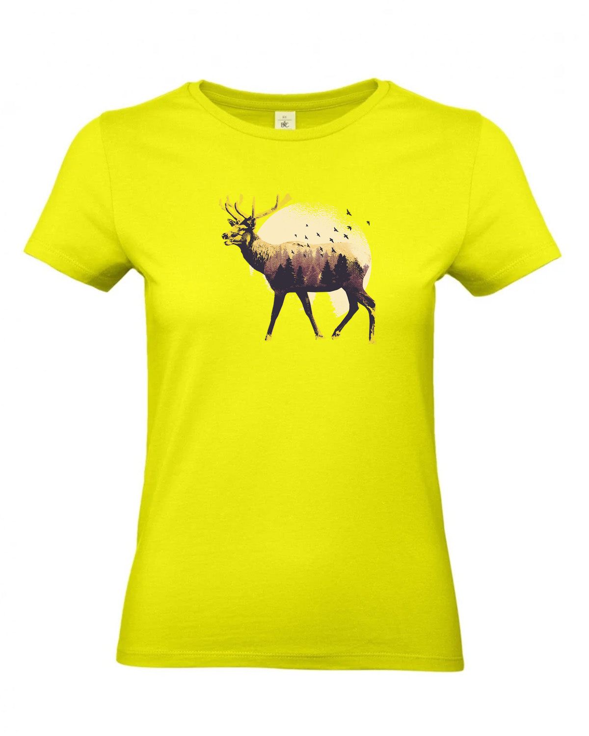 bundle-src:https://cdn.shopify.com/s/files/1/0946/1078/4639/files/TW04T_P_BC_986_01.jpg?v=1772459365