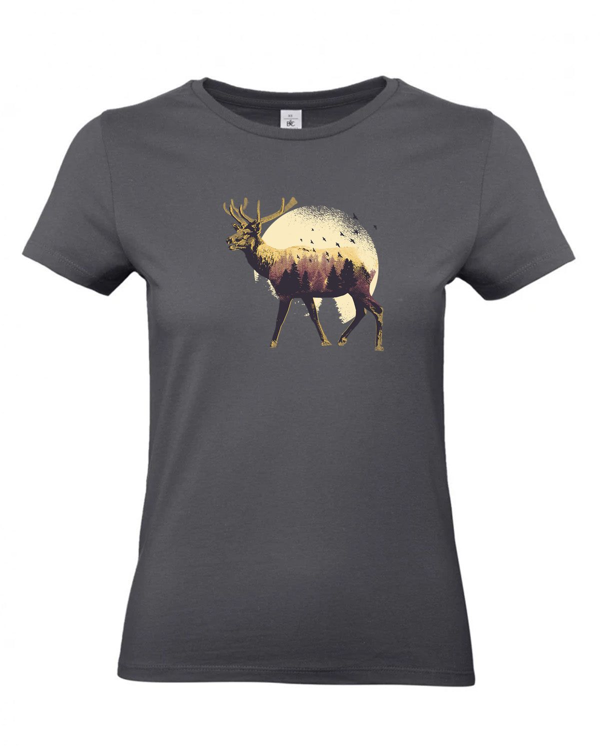 bundle-src:https://cdn.shopify.com/s/files/1/0946/1078/4639/files/TW04T_P_BC_670_01.jpg?v=1772459365