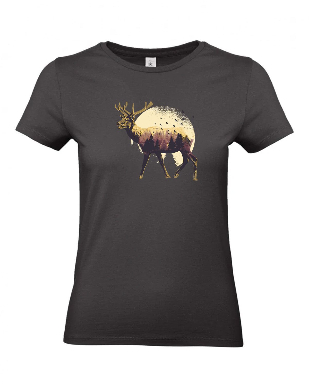 bundle-src:https://cdn.shopify.com/s/files/1/0946/1078/4639/files/TW04T_P_BC_748_01.jpg?v=1772459365