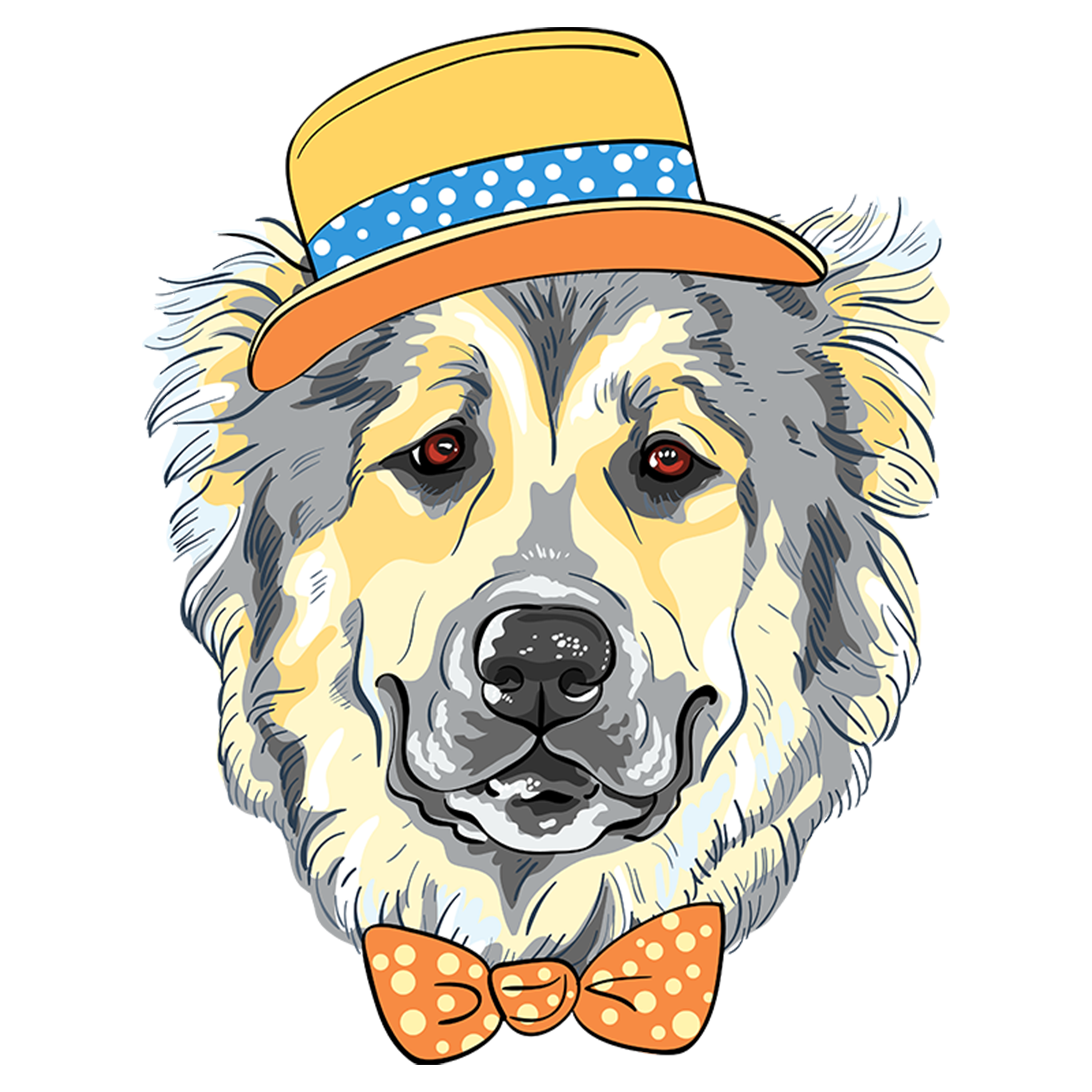 Dog elegant