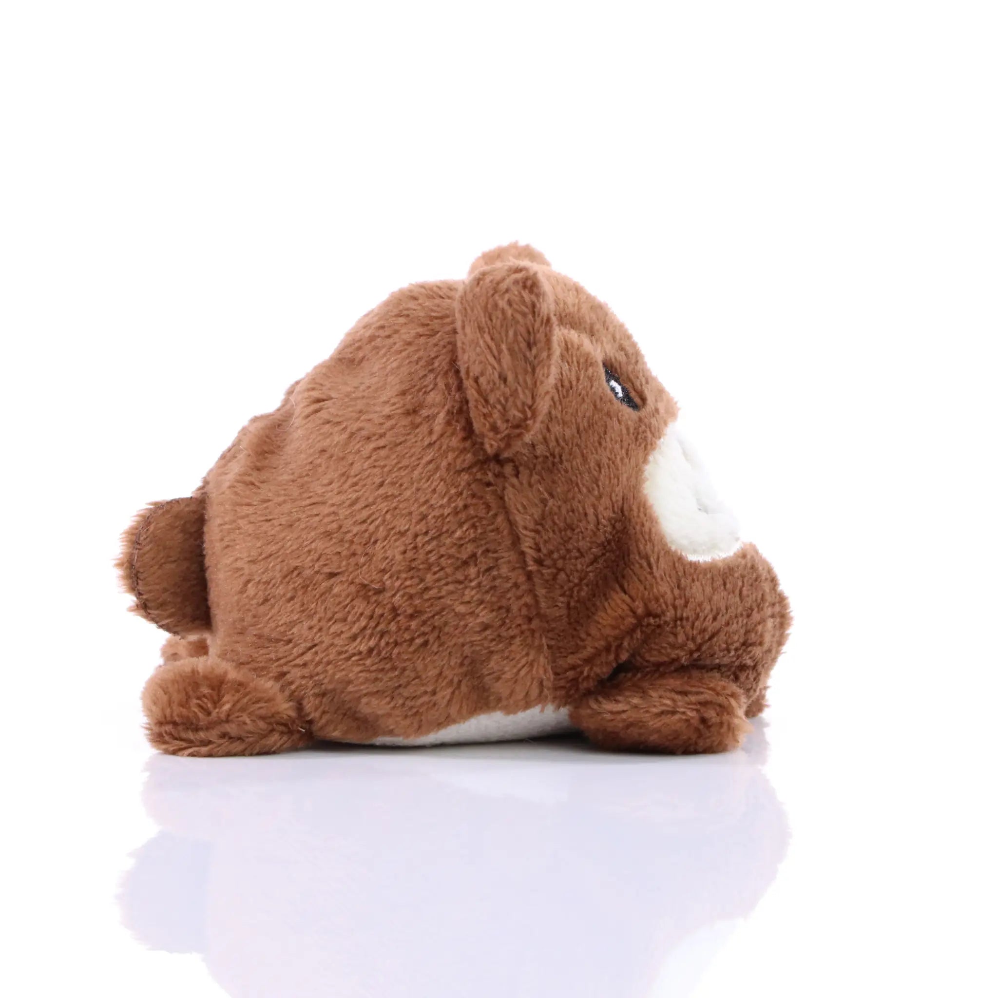 all-groups Schmoozies Bear