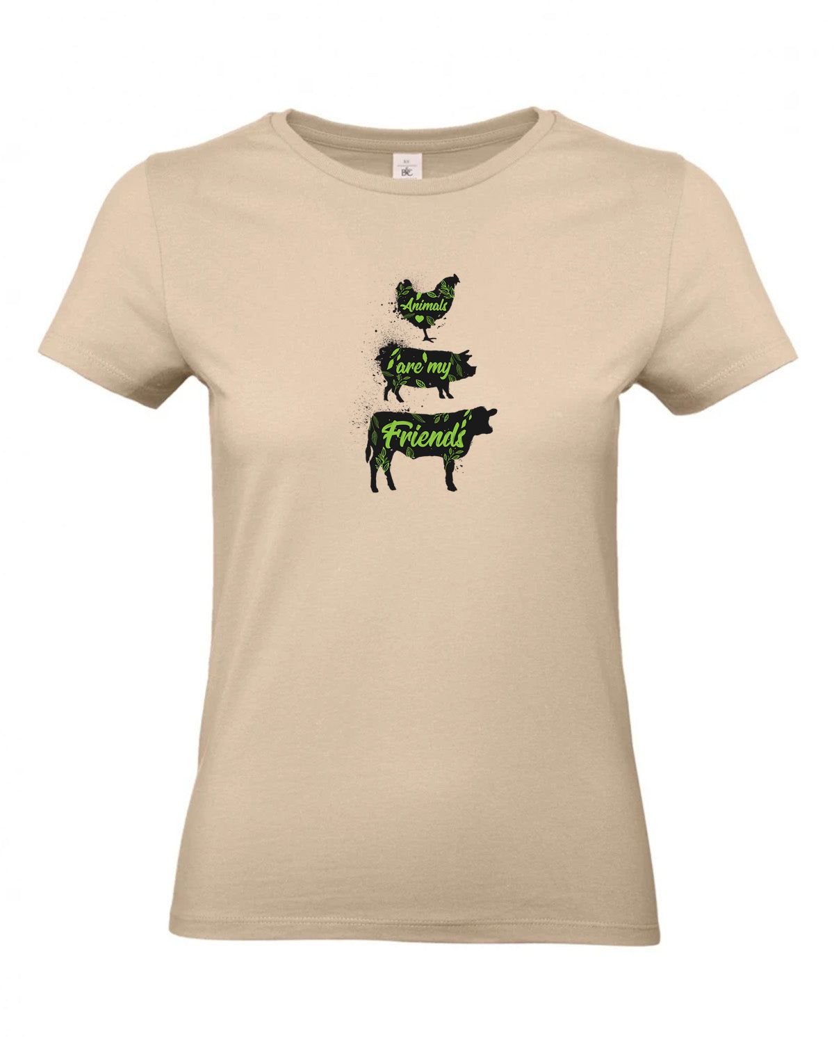 bundle-src:https://cdn.shopify.com/s/files/1/0946/1078/4639/files/TW04T_P_BC_120_01.jpg?v=1772459365