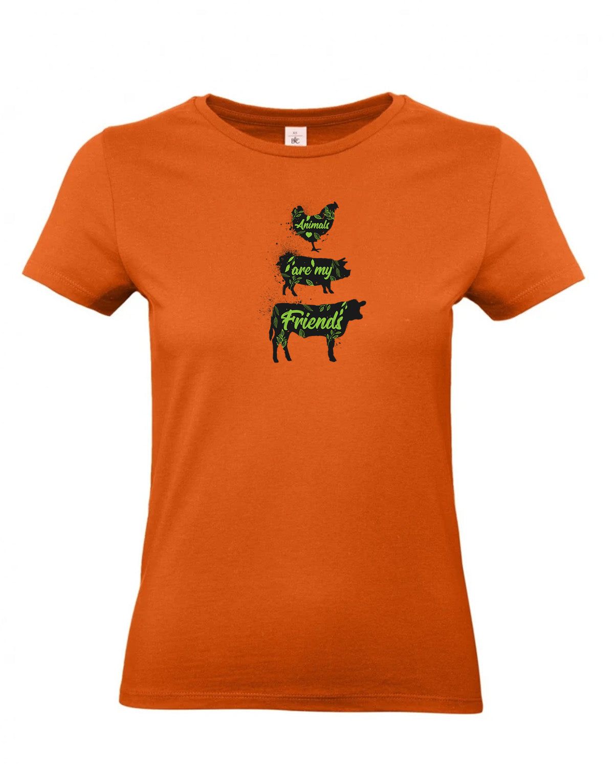 bundle-src:https://cdn.shopify.com/s/files/1/0946/1078/4639/files/TW04T_P_BC_231_01.jpg?v=1772459365