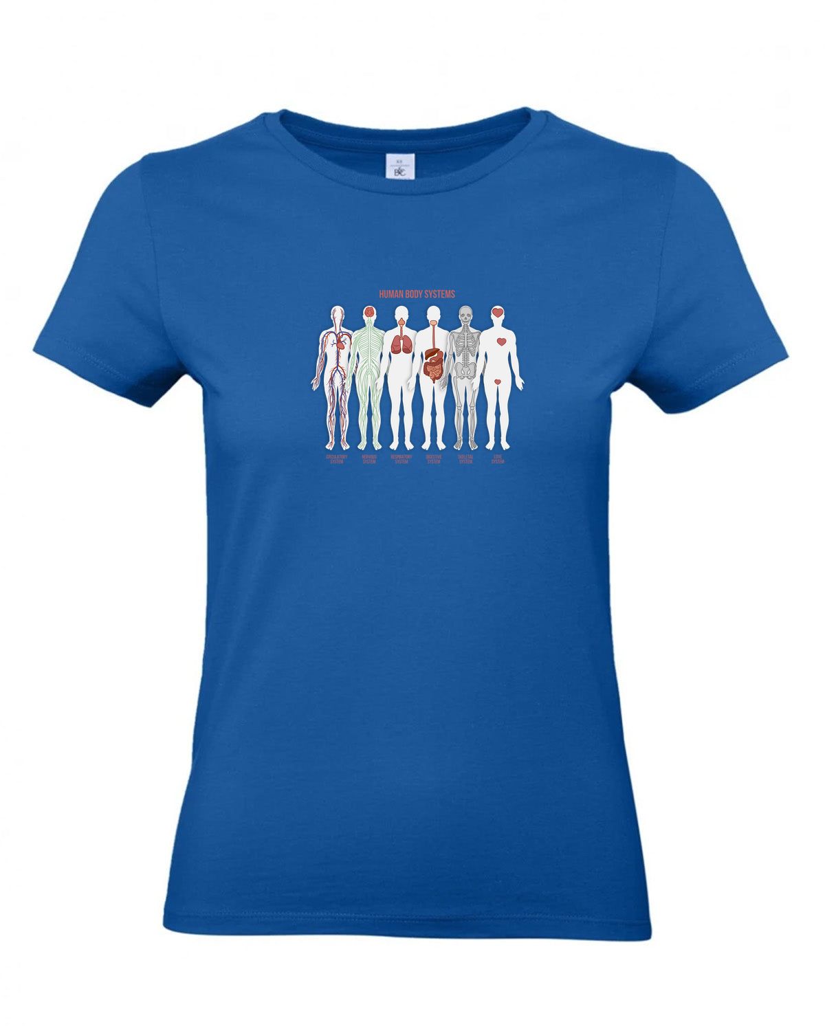 bundle-src:https://cdn.shopify.com/s/files/1/0946/1078/4639/files/TW04T_P_BC_450_01.jpg?v=1772459365