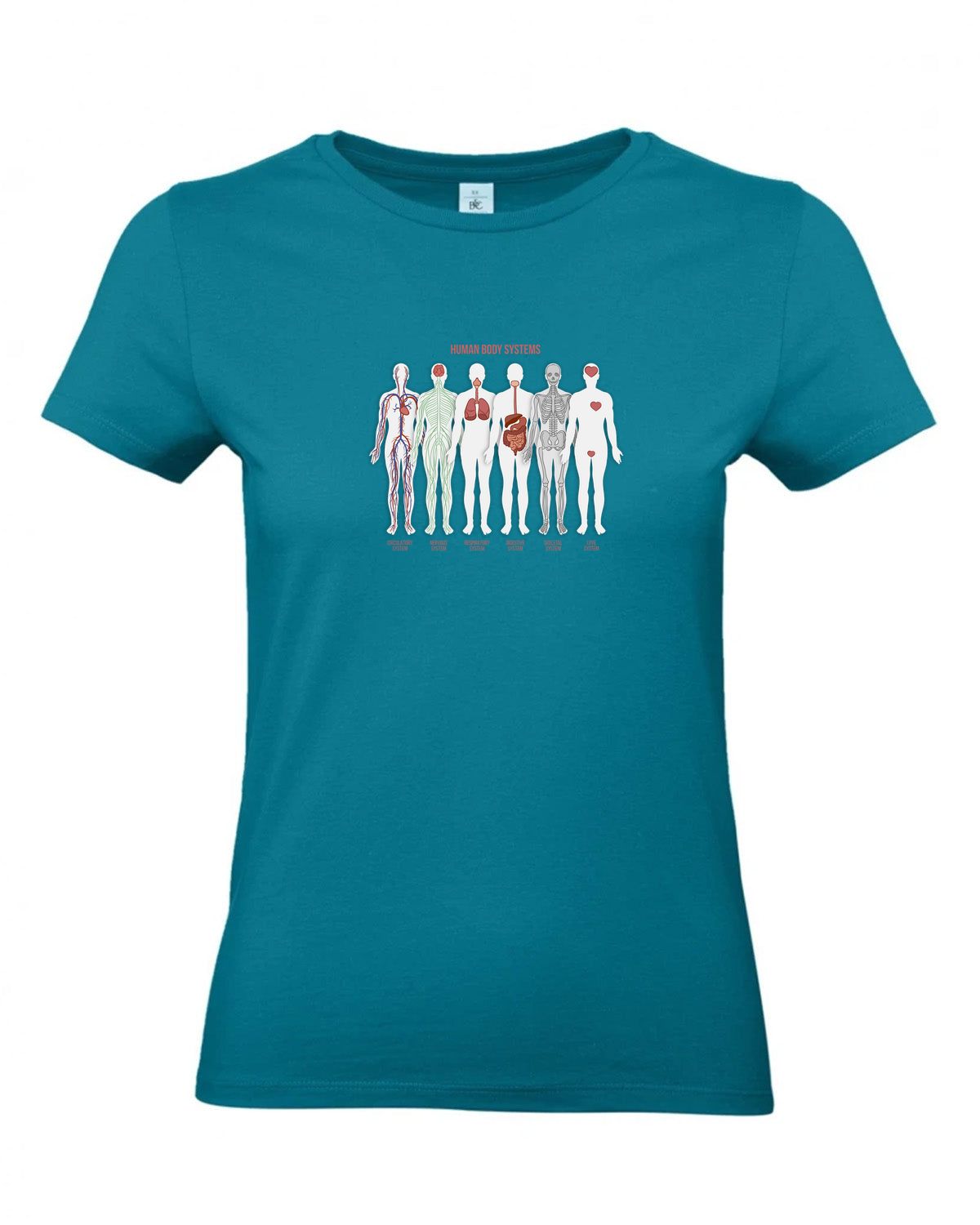 bundle-src:https://cdn.shopify.com/s/files/1/0946/1078/4639/files/TW04T_P_BC_445_01.jpg?v=1772459365