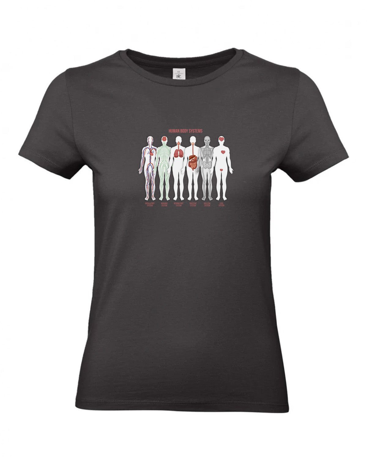 bundle-src:https://cdn.shopify.com/s/files/1/0946/1078/4639/files/TW04T_P_BC_748_01.jpg?v=1772459365