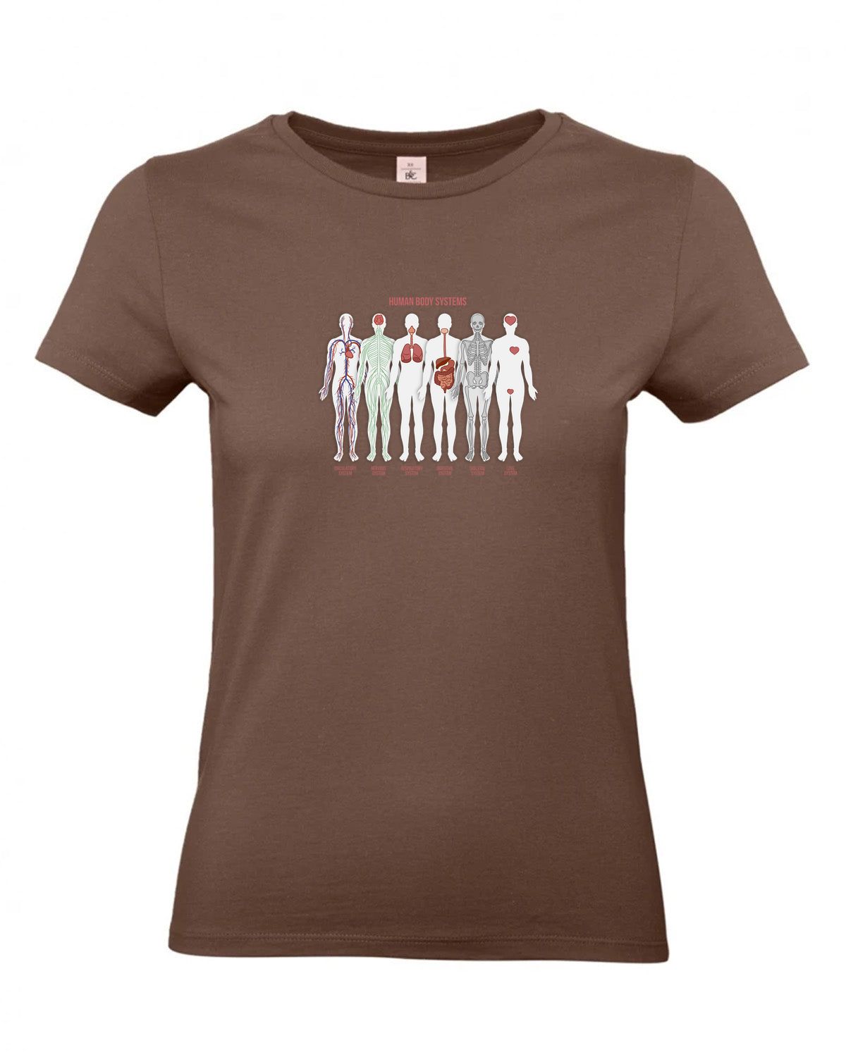 bundle-src:https://cdn.shopify.com/s/files/1/0946/1078/4639/files/TW04T_P_BC_140_01.jpg?v=1772459365