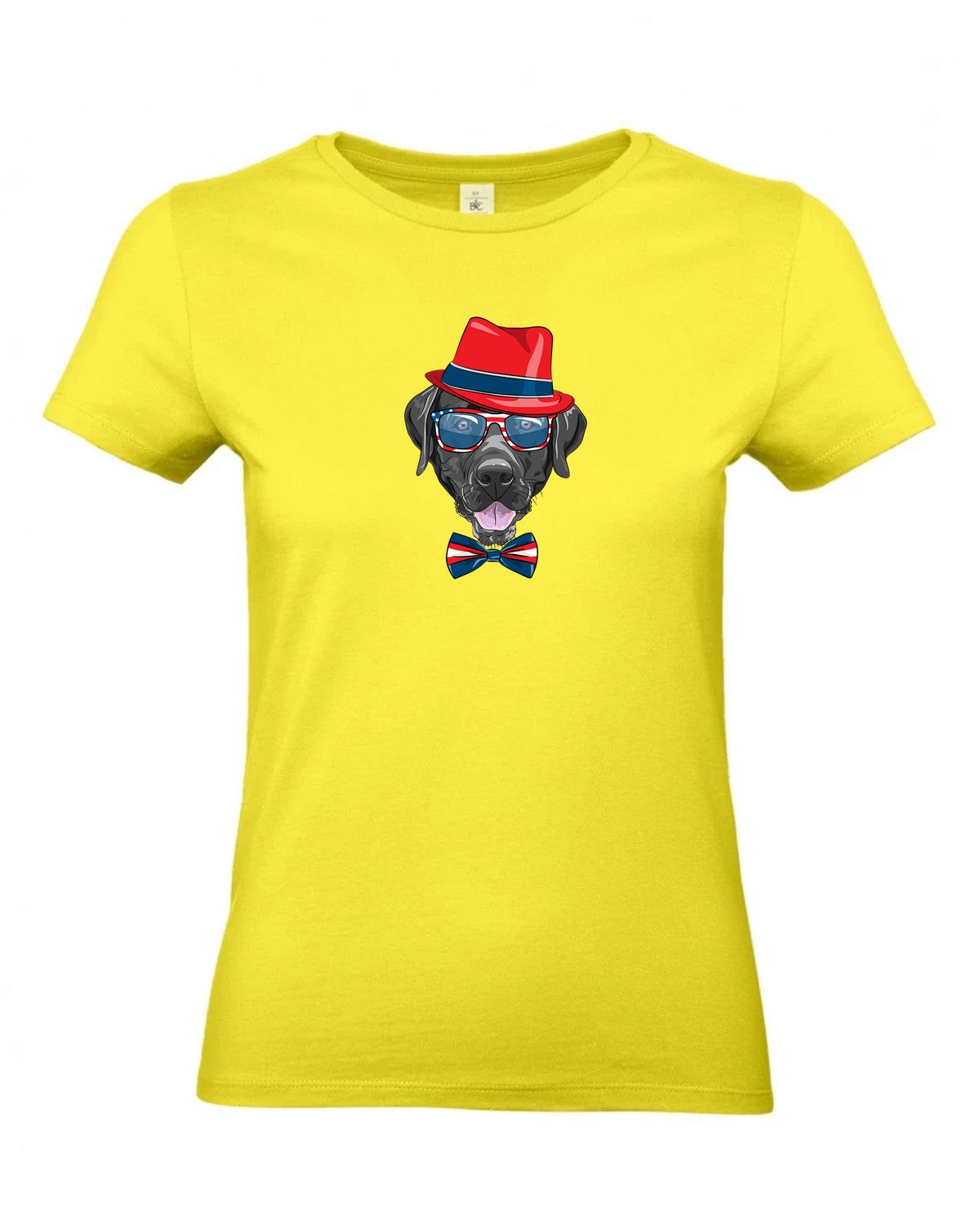 bundle-src:https://cdn.shopify.com/s/files/1/0946/1078/4639/files/TW04T_P_BC_201_01.jpg?v=1772459365