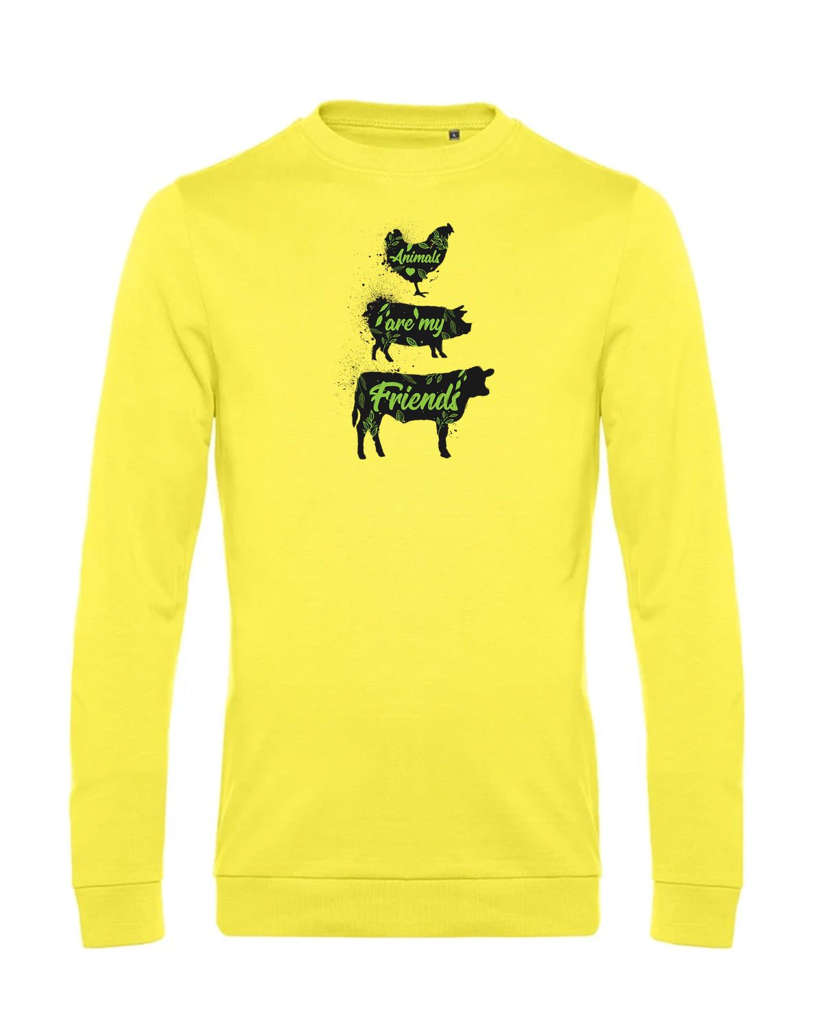 bundle-src:https://cdn.shopify.com/s/files/1/0946/1078/4639/files/WU01W_P_BC_201_01.jpg?v=1772633790