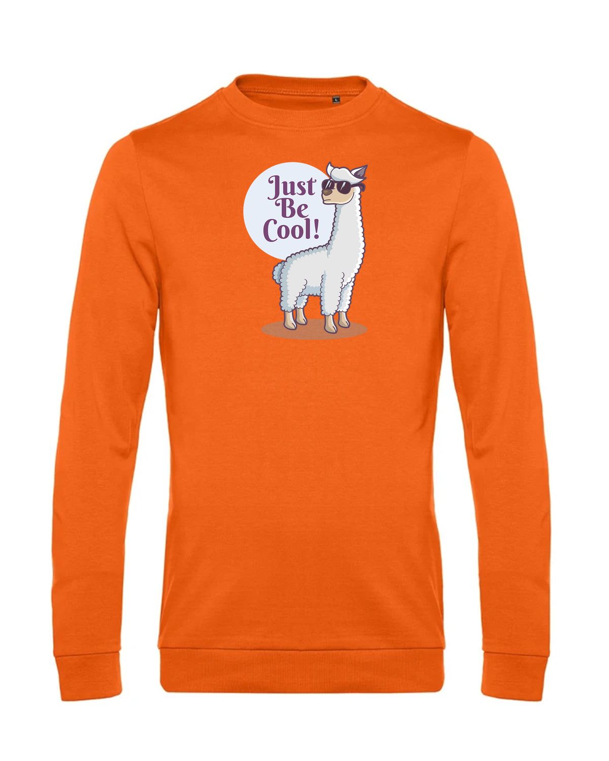 bundle-src:https://cdn.shopify.com/s/files/1/0946/1078/4639/files/WU01W_P_BC_233_01.jpg?v=1772633790