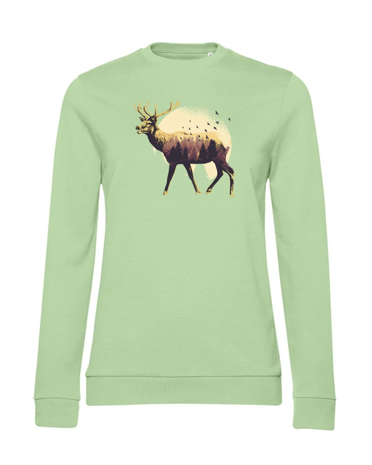 bundle-src:https://cdn.shopify.com/s/files/1/0946/1078/4639/files/WW02W_P_BC_503_01.jpg?v=1773067021